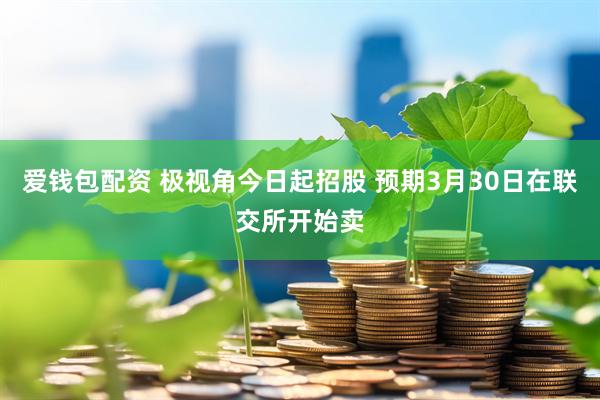 爱钱包配资 极视角今日起招股 预期3月30日在联交所开始卖